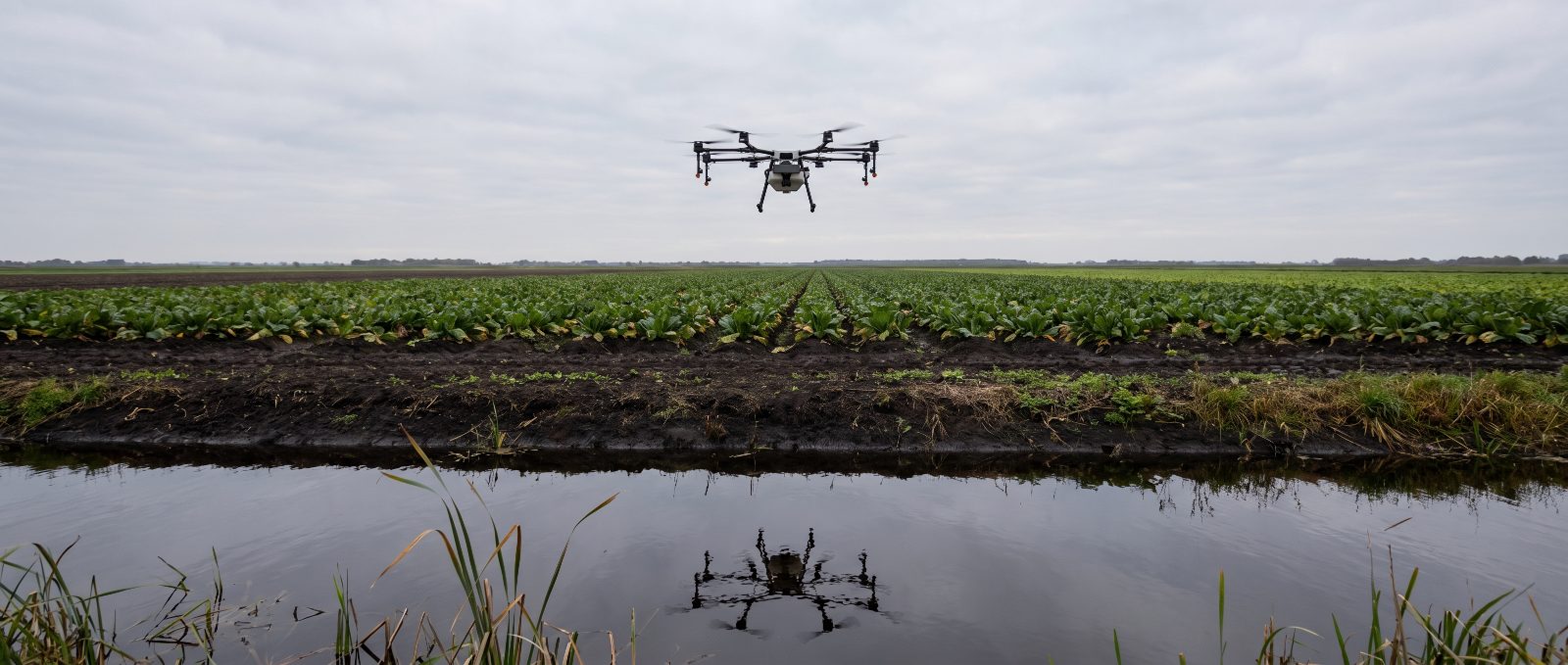 Agricultural spray drone working over Cambridgeshire farmland