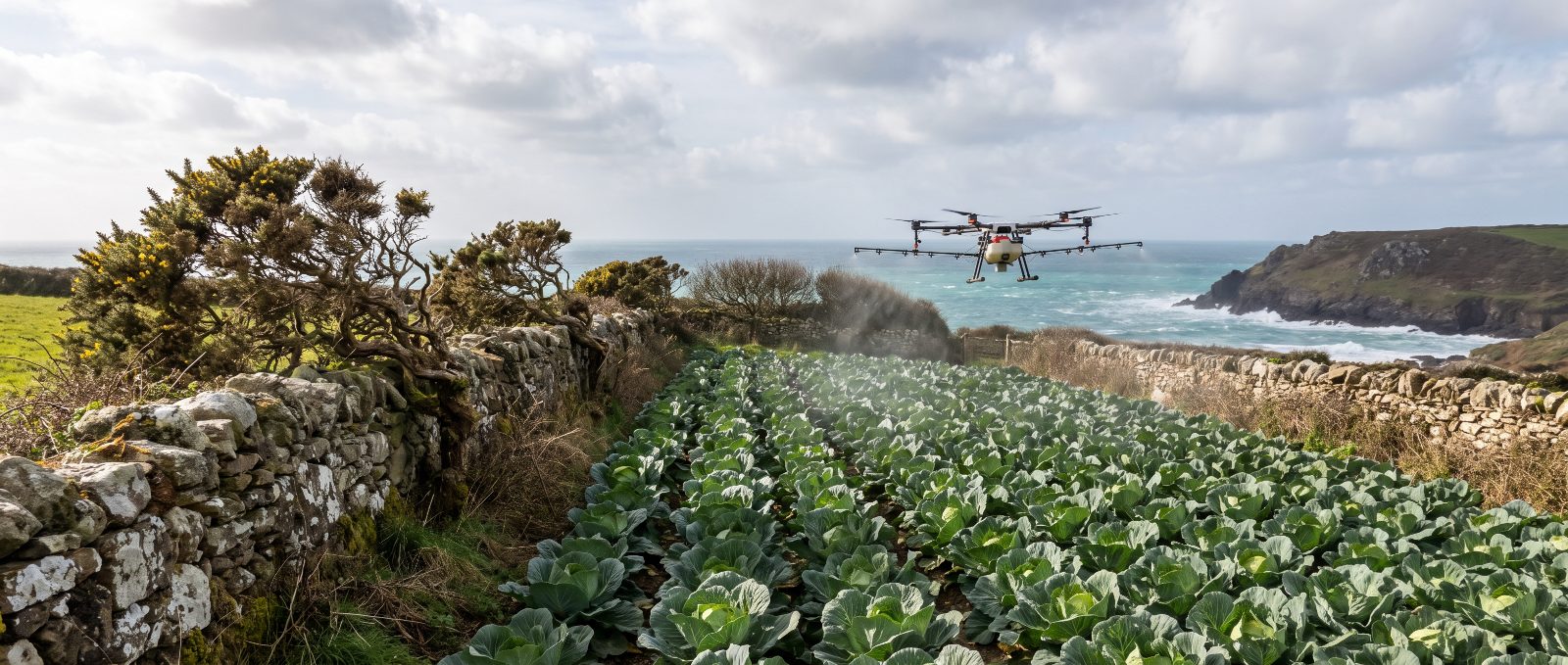 Agricultural spray drone working over Cornwall farmland