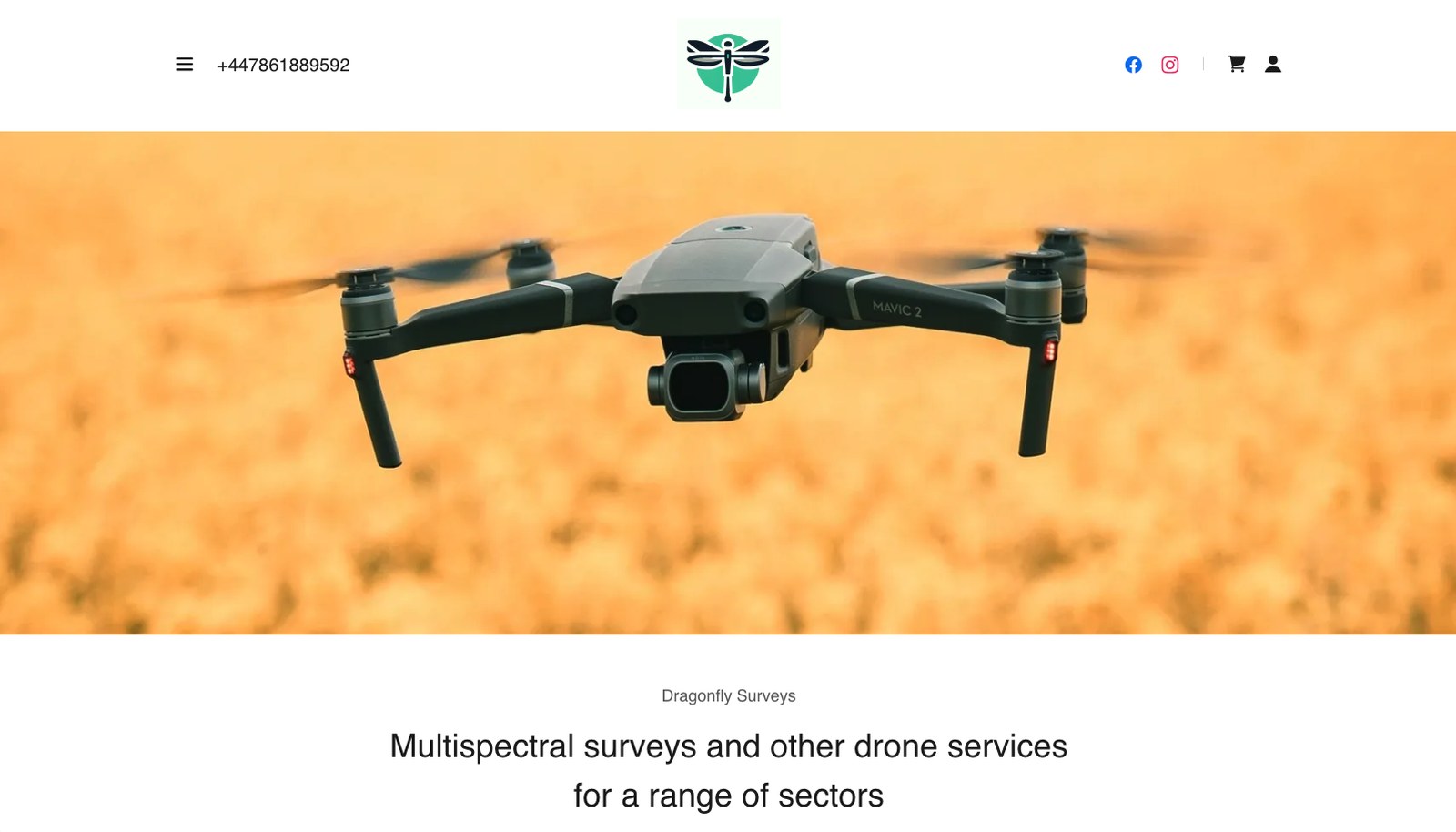 Screenshot of Dragonfly Surveys website